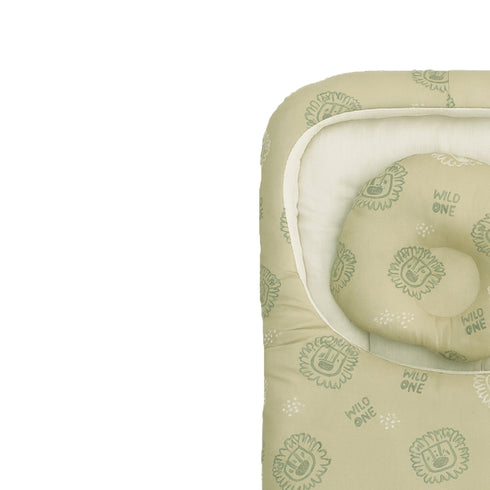 Baby Basics Cozy Snug Carrynest 17194
