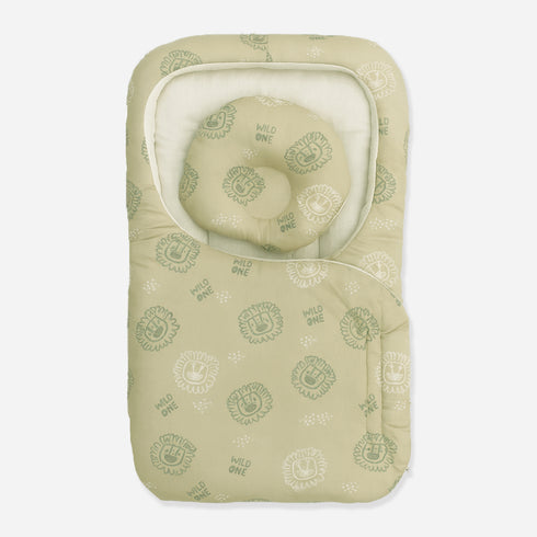 Baby Basics Cozy Snug Carrynest 17194