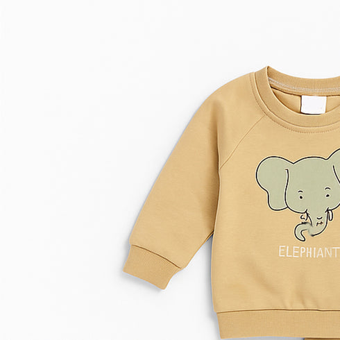 Nexteen Exclusive 2Pc Suit Terry Shirt Long Sleeves & Touser Set 17110 Unisex