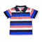 Boys Classic Polo Shirts 15670