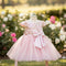 Baby Girls Frilled Floral Sequin Party Frock 16811