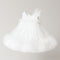Baby Girls Frilled Party Wear Frock 16865