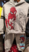 Boys Grey Spider-Man Cotton Fleece Tracksuit for 2–8 Years