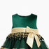Baby Girls Frilled Sequin Party Frock 16811