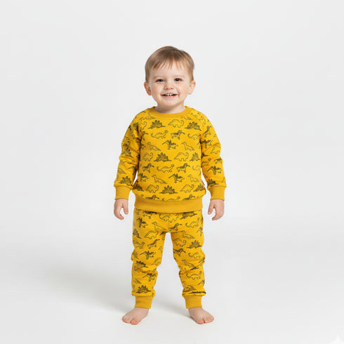 Nexteen Kids Exclusive 2Pc Suit Terry Shirt Long Sleeves & Touser Set 17110 Dino