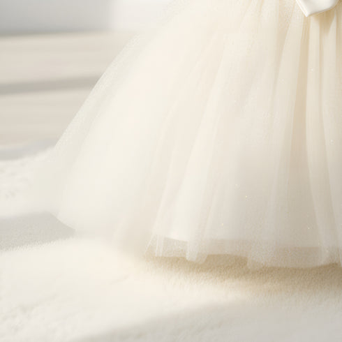 Baby Girls Frilled Glittered Party Frock 16811