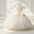 Baby Girls Frilled Glittered Party Frock 16811