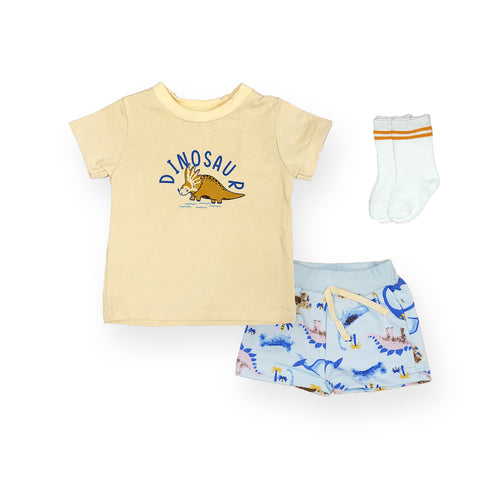 Baby Boys Suit T-Shirt With Shorts & Pair Of Socks 15651