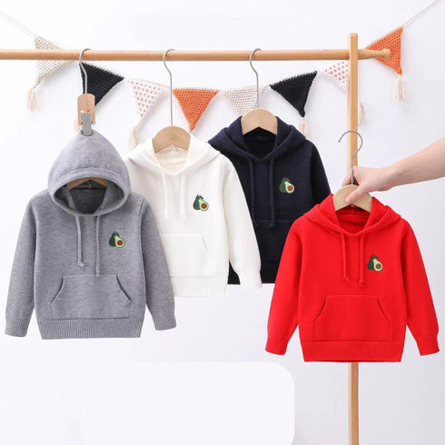 Exclusive Kids Hooded Sweater 16839