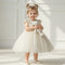 Baby Girls Frilled Glittered Party Frock 16811