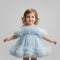 Baby Girls Frilled Party Wear Frock 16865