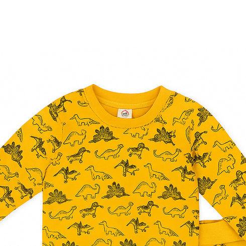 Nexteen Kids Exclusive 2Pc Suit Terry Shirt Long Sleeves & Touser Set 17110 Dino