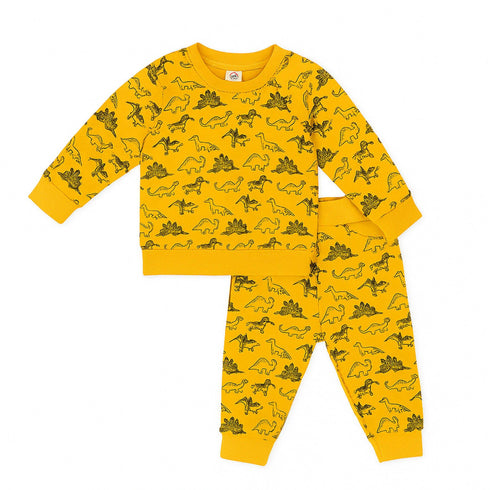Nexteen Kids Exclusive 2Pc Suit Terry Shirt Long Sleeves & Touser Set 17110 Dino