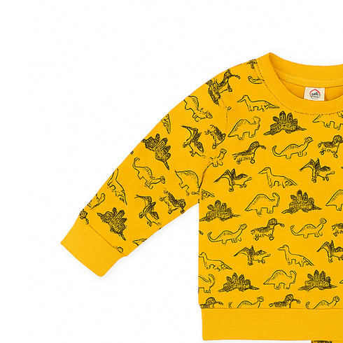 Nexteen Kids Exclusive 2Pc Suit Terry Shirt Long Sleeves & Touser Set 17110 Dino