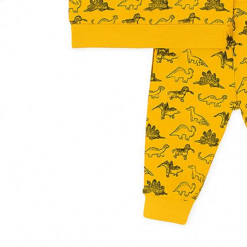 Nexteen Kids Exclusive 2Pc Suit Terry Shirt Long Sleeves & Touser Set 17110 Dino