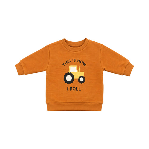 Brown Baby Boy Suit T-Shirt Sweatshirt Trouser