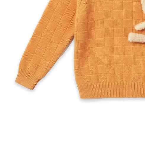 Woolen Mustard Baby Boy Sweater with Teddy Bear Stuff Toy