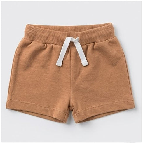 Baby Boys T-Shirt & Shorts Set with Bib & Socks Brown Dino Set