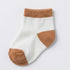Baby Boys T-Shirt & Shorts Set with Bib & Socks Brown Dino Set