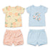 Baby Girls 2 T-Shirts & 2 Shorts Set Blue Pink Floral Set