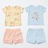 Baby Girls 2 T-Shirts & 2 Shorts Set Blue Pink Floral Set
