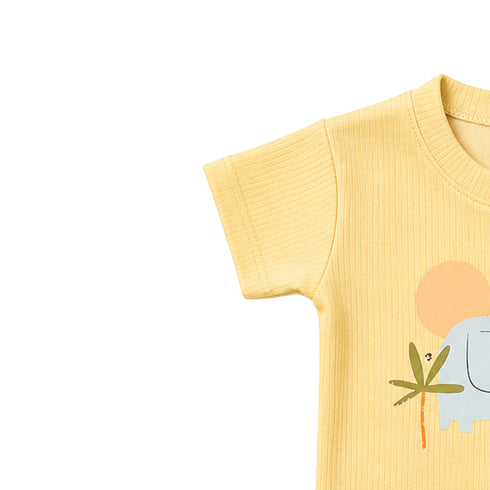 Basics 2Pc Boys Suit Beige Green Little Elephant