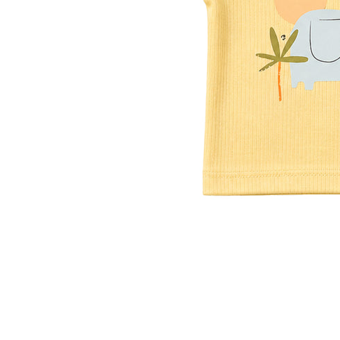 Basics 2Pc Boys Suit Beige Green Little Elephant
