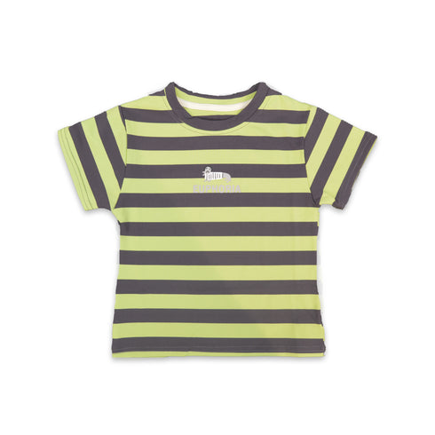 Boys Euphoria T-Shirt Green Grey