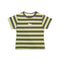 Boys Euphoria T-Shirt Green Grey