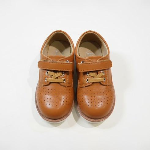 Brown Perforated Apron Toe Derby Boys Shoes