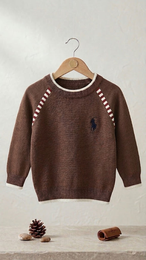 Baby Boys Brown Polo Woolen Sweater
