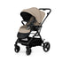 En1888 Stroller 3 in 1 Style New Design Baby Pram with Seat Carriage Baby Push Chair