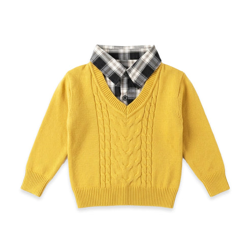 Woolen Boy Clothes Mustard Formal Sweater