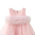 Pink Party Wear Frock Sleeveless Ruffled Tulle