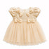 Party Wear Girls Frock Peach Glittered Bowknot