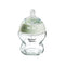 Tommee Tippee Natural Start Glass Feeding Bottle 150ML